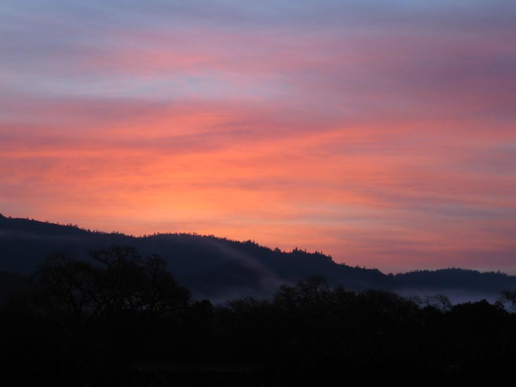 Euro Spa & Inn, 1202 Pine Street, Calistoga, California