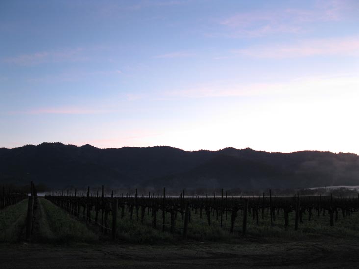 Welcome To Napa Valley Sign, Highway 29 Near Peterson Drive, Calistoga, California, March 15, 2010