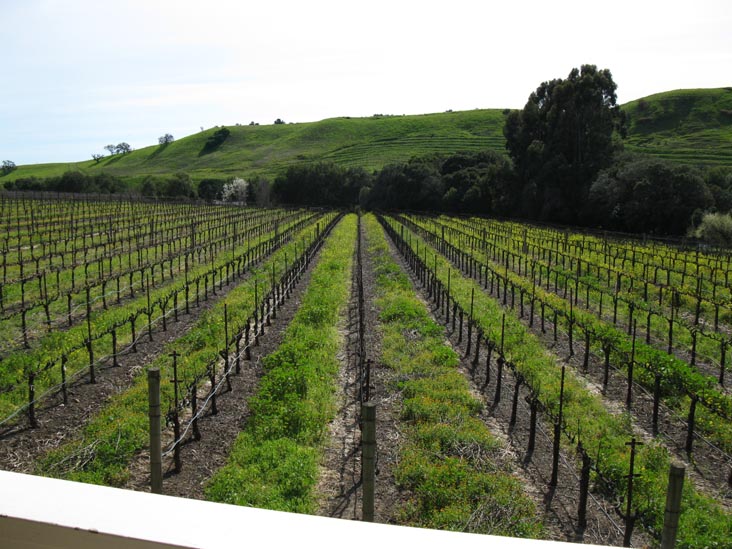 Folio Fine Wine Partners, 550 Gateway Drive, Napa, California