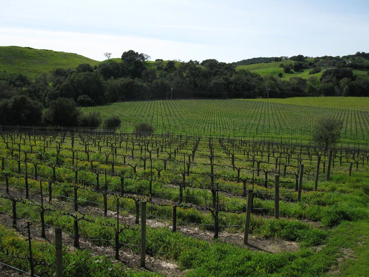 Folio Fine Wine Partners, 550 Gateway Drive, Napa, California