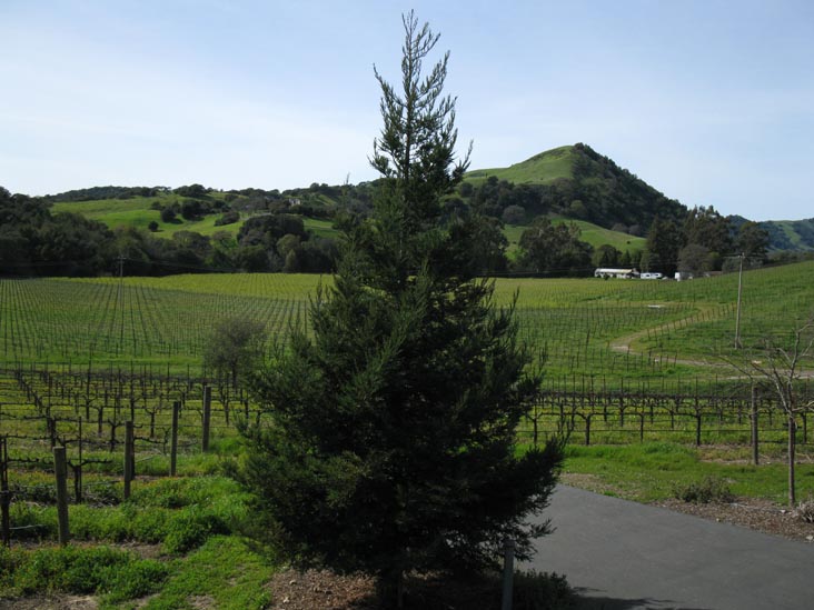 Folio Fine Wine Partners, 550 Gateway Drive, Napa, California