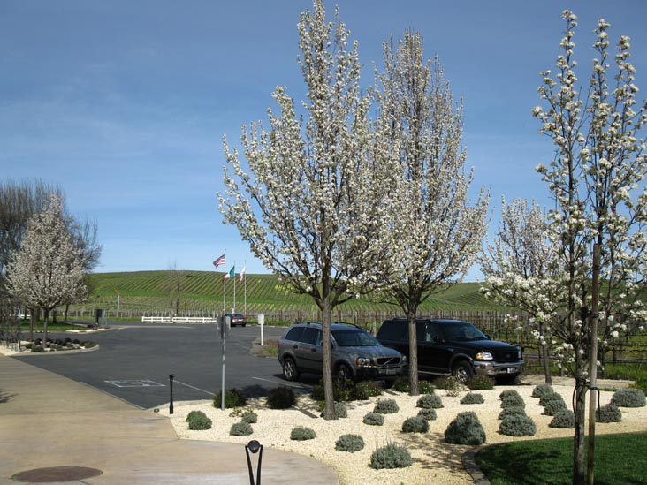 Folio Fine Wine Partners, 550 Gateway Drive, Napa, California