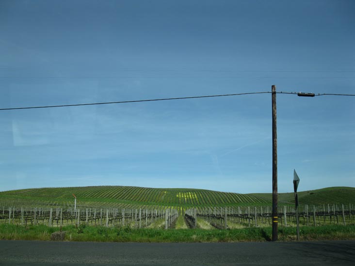 Looking Across Gateway Drive From Folio Fine Wine Partners, Napa, California