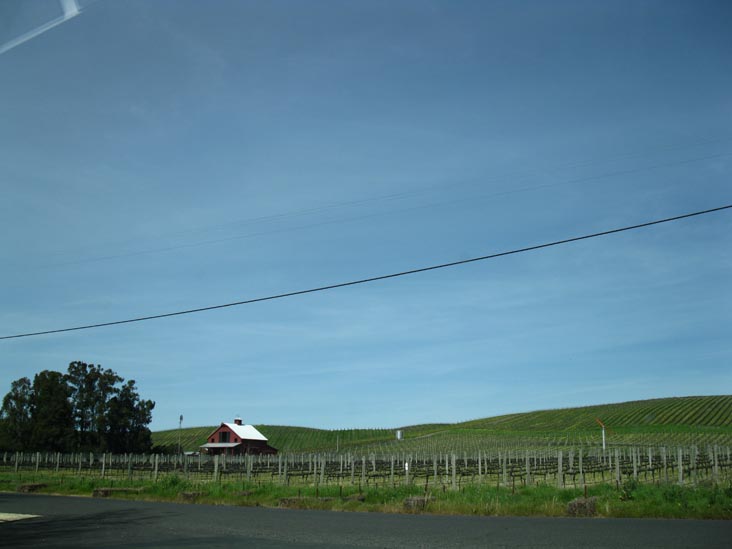 Looking Across Gateway Drive From Folio Fine Wine Partners, Napa, California