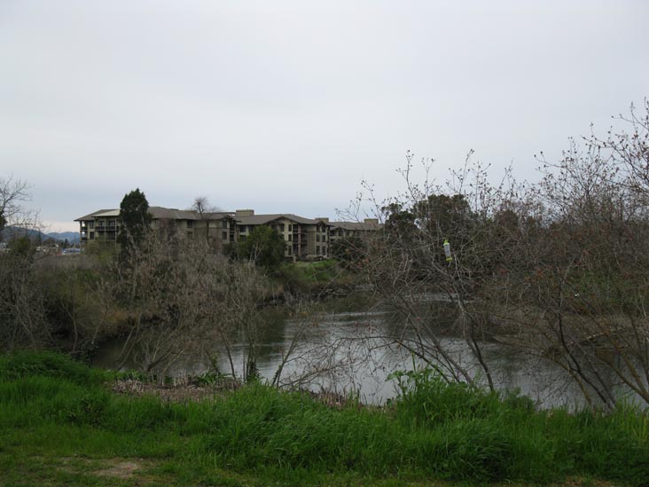 Napa River From Oxbow Public Market, 610 First Street, Napa, California, March 9, 2010