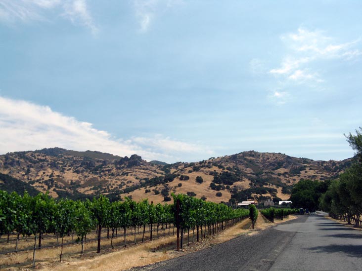 Regusci Winery, 5584 Silverado Trail, Napa, California