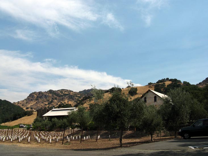 Regusci Winery, 5584 Silverado Trail, Napa, California
