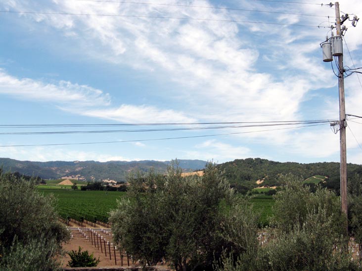 Regusci Winery, 5584 Silverado Trail, Napa, California