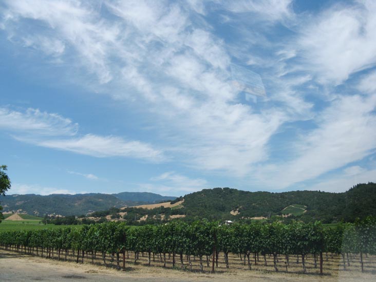 Regusci Winery, 5584 Silverado Trail, Napa, California