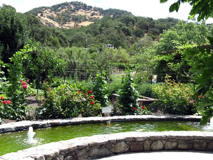 Robert Sinskey Vineyards, 6320 Silverado Trail, Napa, California