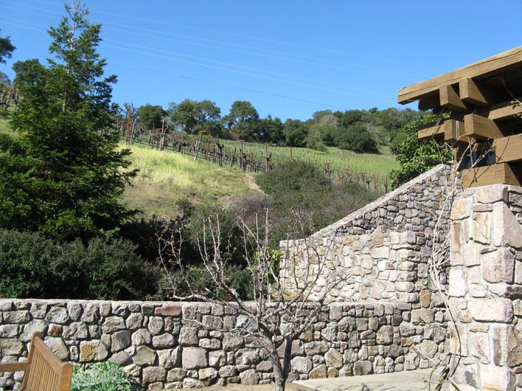 Robert Sinskey Vineyards, 6320 Silverado Trail, Napa, California, March 11, 2009
