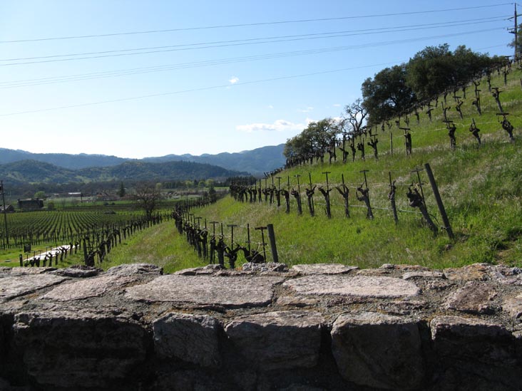 Robert Sinskey Vineyards, 6320 Silverado Trail, Napa, California, March 11, 2009