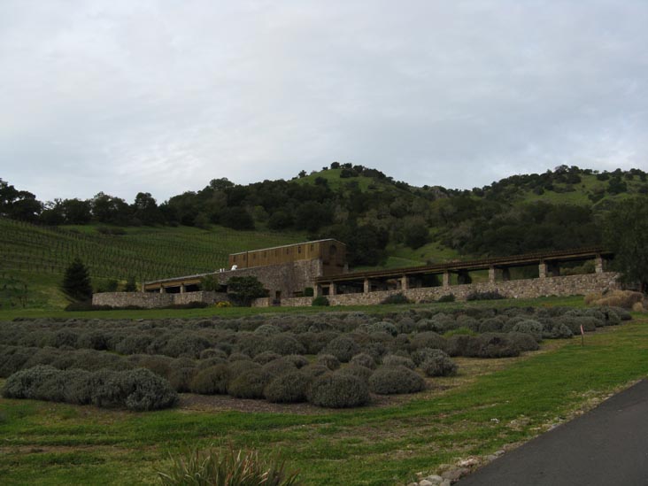 Robert Sinskey Vineyards, 6320 Silverado Trail, Napa, California, March 14, 2009