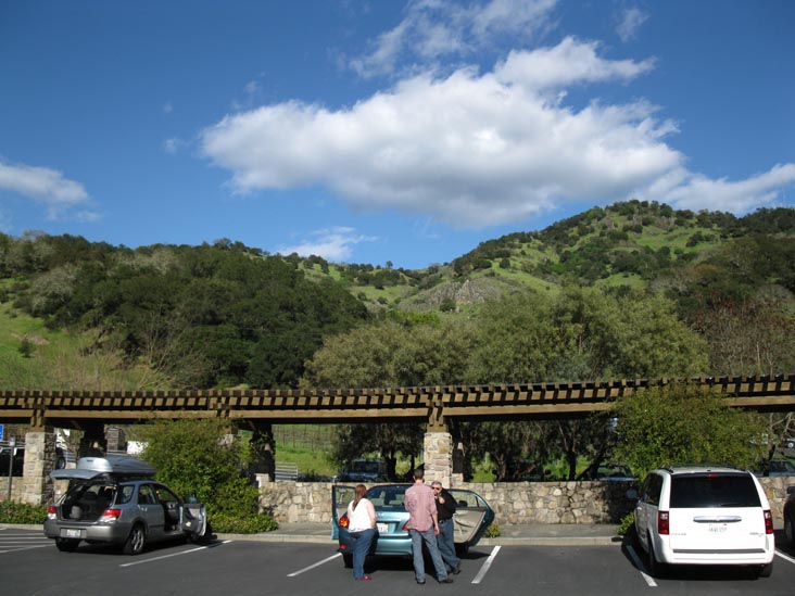 Robert Sinskey Vineyards, 6320 Silverado Trail, Napa, California, March 10, 2010