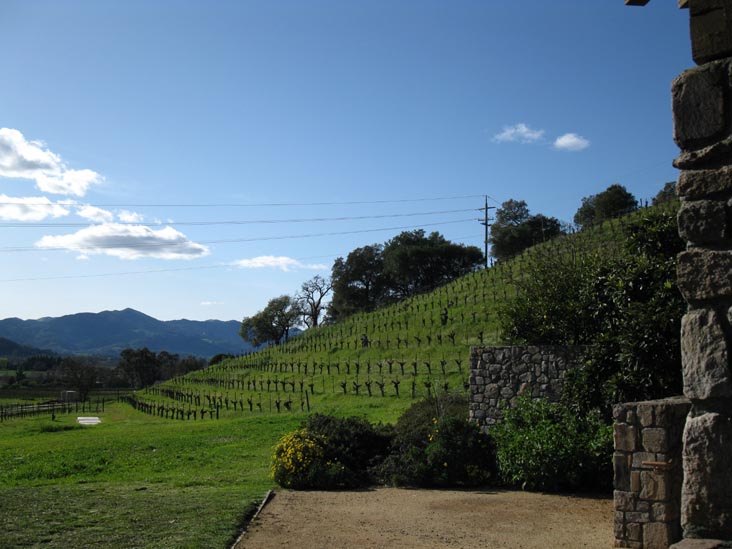 Robert Sinskey Vineyards, 6320 Silverado Trail, Napa, California, March 10, 2010