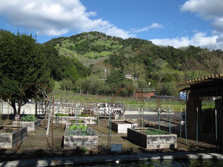 Robert Sinskey Vineyards, 6320 Silverado Trail, Napa, California, March 10, 2010