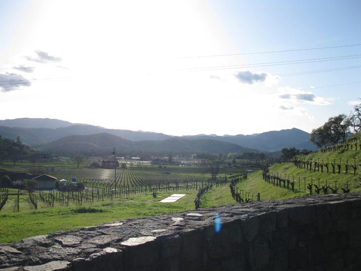 Robert Sinskey Vineyards, 6320 Silverado Trail, Napa, California, March 10, 2010