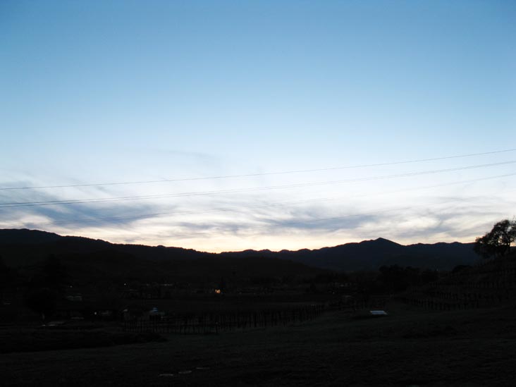 Robert Sinskey Vineyards, 6320 Silverado Trail, Napa, California, March 13, 2010