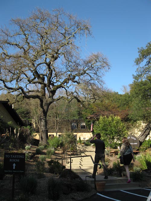 Stag's Leap Wine Cellars, 5766 Silverado Trail, Napa, California