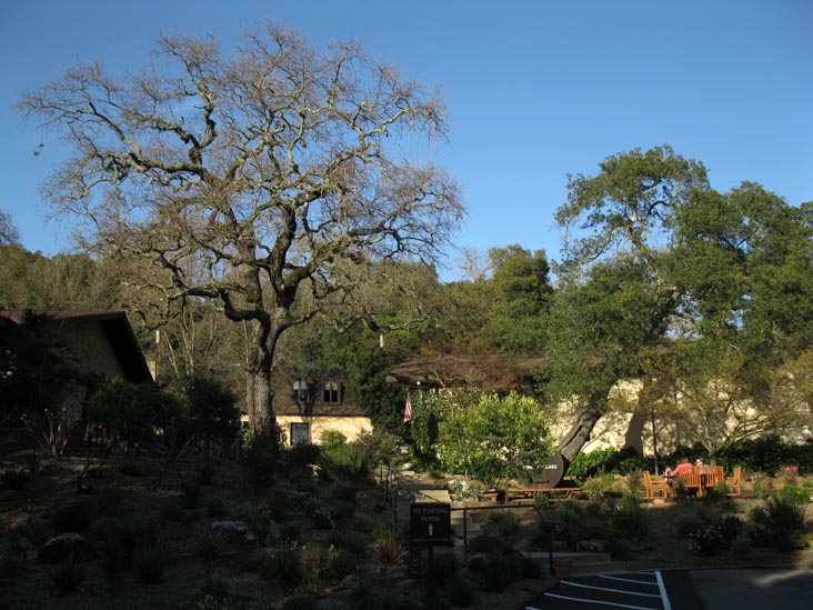 Stag's Leap Wine Cellars, 5766 Silverado Trail, Napa, California