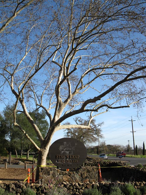 Stag's Leap Wine Cellars, 5766 Silverado Trail, Napa, California