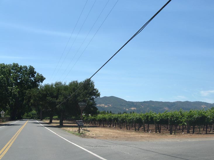 Oakville Cross Road Near Plumpjack Winery, Napa County, California, 1:30 p.m.