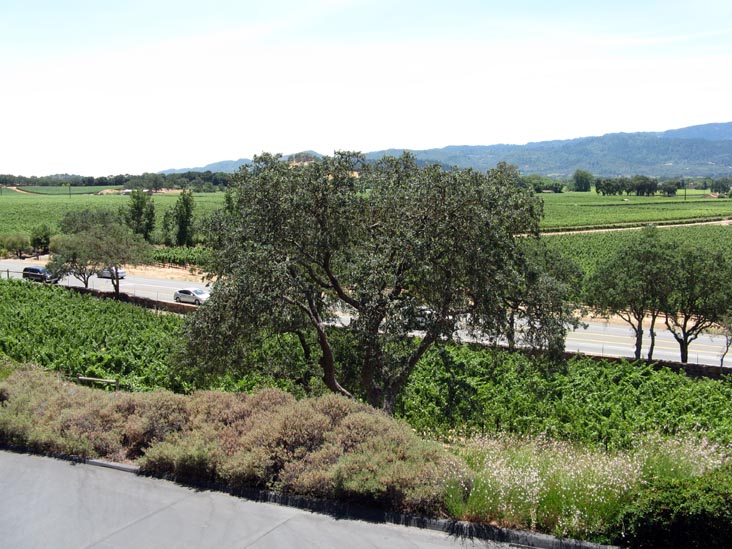 Silverado Trail From Miner Family Vineyards, 7850 Silverado Trail, Oakville, California