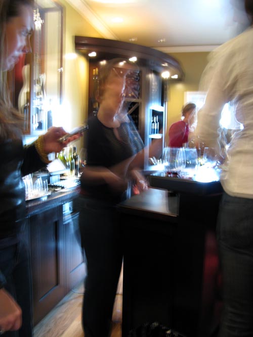 Miner Family Vineyards, 7850 Silverado Trail, Oakville, California, March 14, 2009