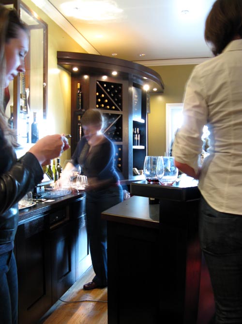 Miner Family Vineyards, 7850 Silverado Trail, Oakville, California, March 14, 2009