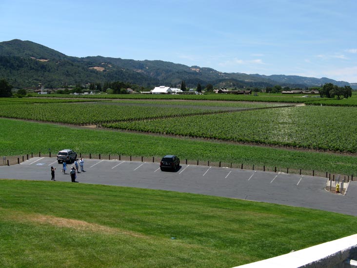 Vineyards, Opus One, 7900 St. Helena Highway, Oakville, California