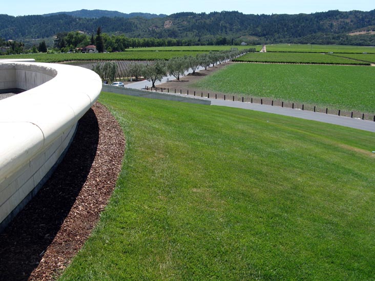 Vineyards, Opus One, 7900 St. Helena Highway, Oakville, California