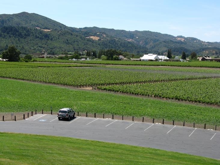 Vineyards, Opus One, 7900 St. Helena Highway, Oakville, California