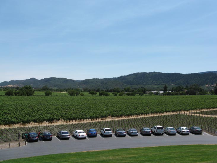 Vineyards, Opus One, 7900 St. Helena Highway, Oakville, California