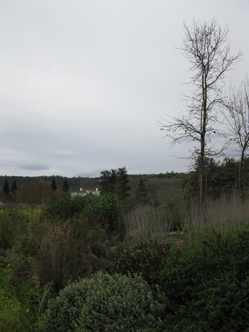 Frog's Leap Winery, 8815 Conn Creek Road, Rutherford, California