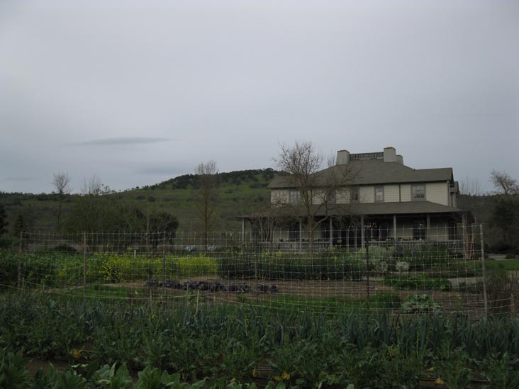 Frog's Leap Winery, 8815 Conn Creek Road, Rutherford, California