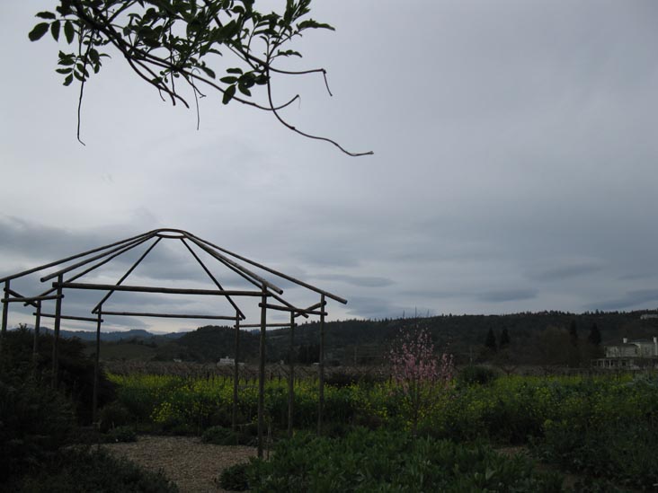 Frog's Leap Winery, 8815 Conn Creek Road, Rutherford, California