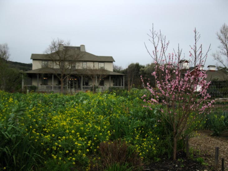Frog's Leap Winery, 8815 Conn Creek Road, Rutherford, California