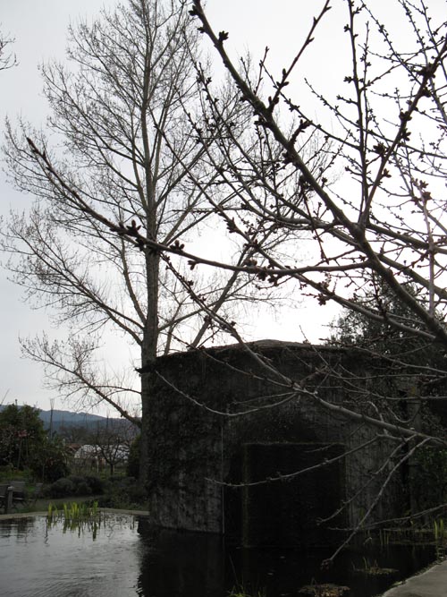 Frog's Leap Winery, 8815 Conn Creek Road, Rutherford, California