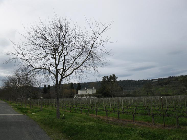 Frog's Leap Winery, 8815 Conn Creek Road, Rutherford, California