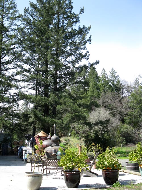 Charbay Still House, 4001 Spring Mountain Road, St. Helena, California