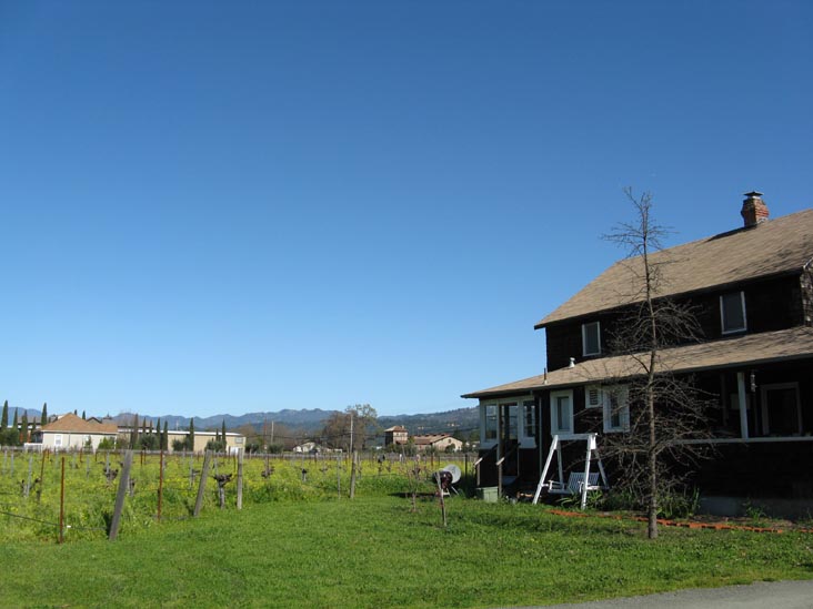 Corison Winery, 987 St. Helena Highway, St. Helena, California
