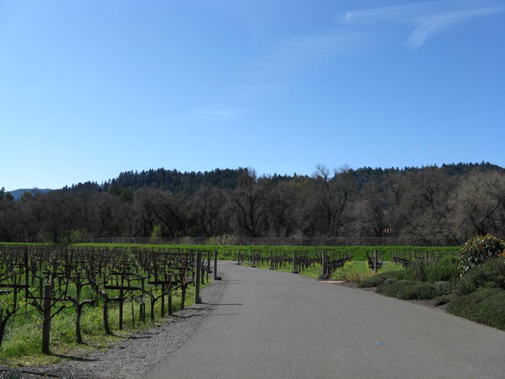 Duckhorn Vineyards, 1000 Lodi Lane, St. Helena, California