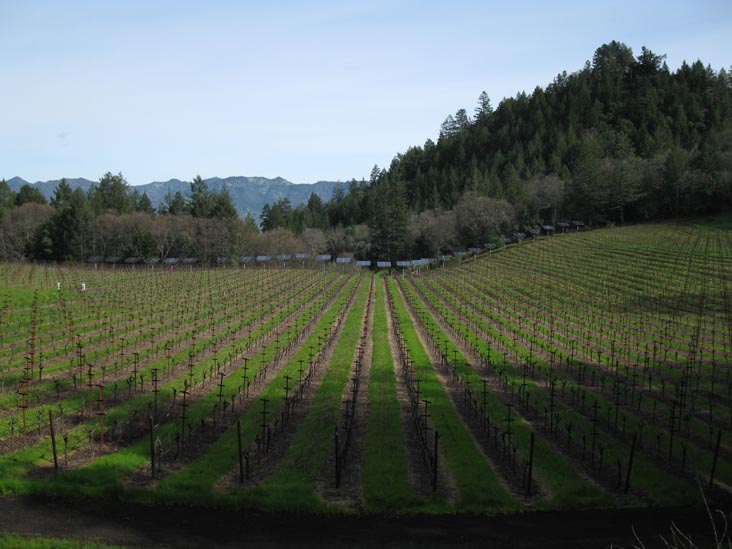 Keenan Winery, 3660 Spring Mountain Road, St. Helena, California