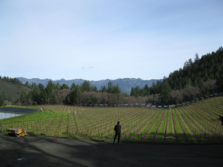 Keenan Winery, 3660 Spring Mountain Road, St. Helena, California