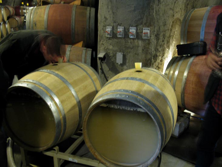 Pride Mountain Vineyards, 4026 Spring Mountain Road, St. Helena, California