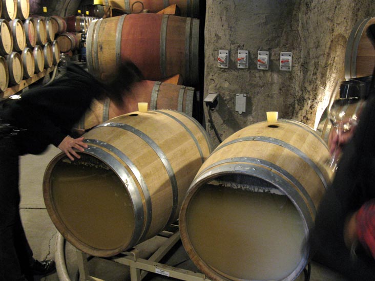 Pride Mountain Vineyards, 4026 Spring Mountain Road, St. Helena, California