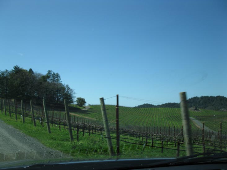 Pride Mountain Vineyards, 4026 Spring Mountain Road, St. Helena, California