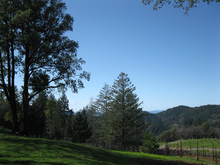 Pride Mountain Vineyards, 4026 Spring Mountain Road, St. Helena, California