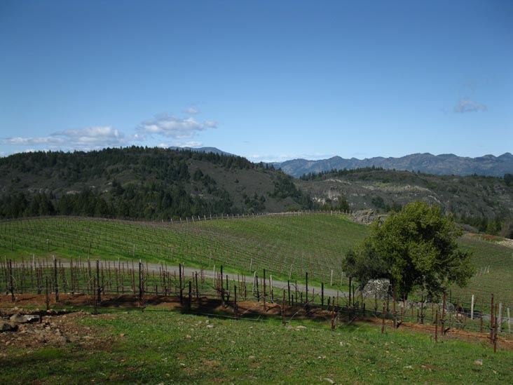Pride Mountain Vineyards, 4026 Spring Mountain Road, St. Helena, California
