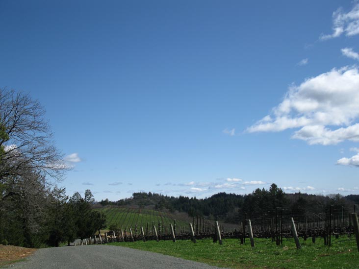 Pride Mountain Vineyards, 4026 Spring Mountain Road, St. Helena, California